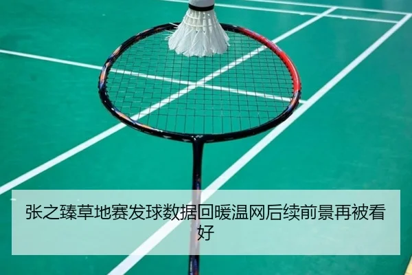 张之臻草地赛发球数据回暖温网后续前景再被看好